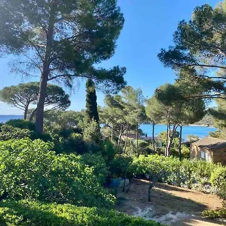 La Farigoule, Cap Benat - Domaine Du Ris * Bormes-les-Mimosas